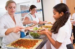 Green Party Plan to Feed All School Children